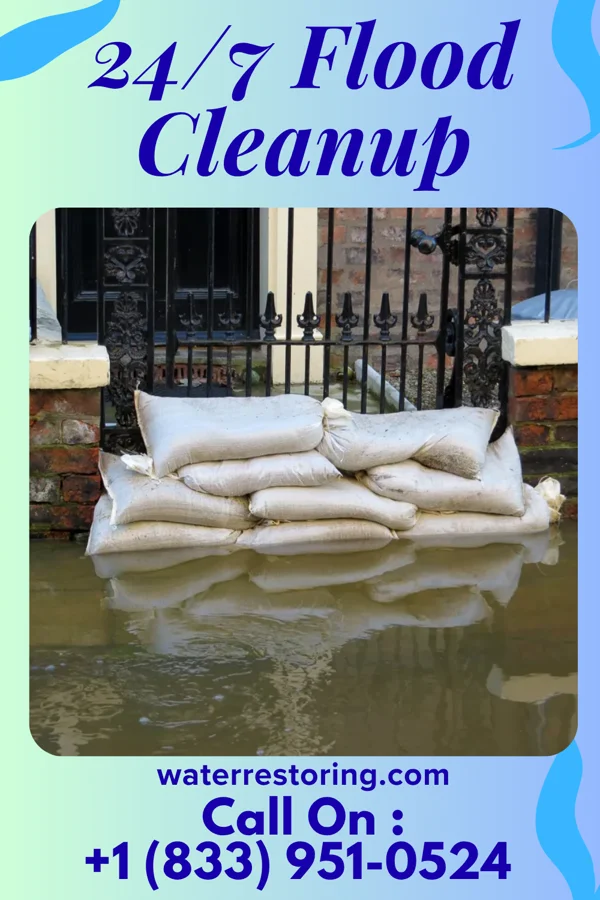 24/7 Flood Cleanup in Stone Park, IL