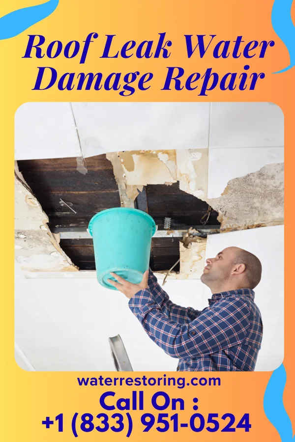 Roof Leak Water Damage Repair in Stone Park, IL