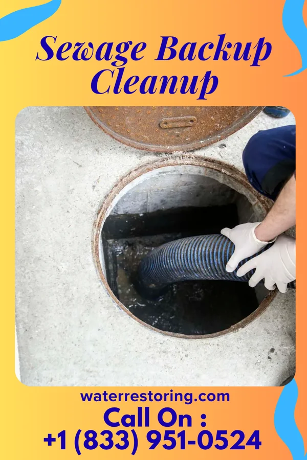 Sewage Backup Cleanup in Stone Park, IL
