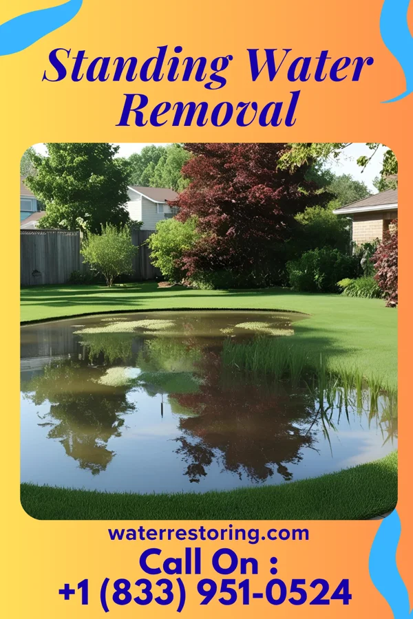 Standing Water Removal in Stone Park, IL